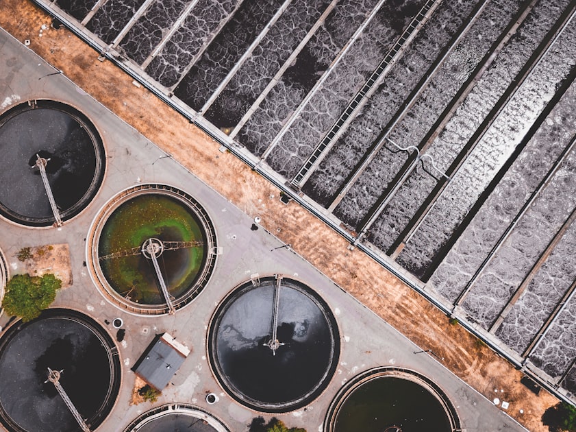 Signs You Need Septic Repairs